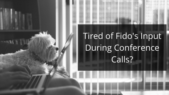 Tired of Fido’s Input During Conference Calls?